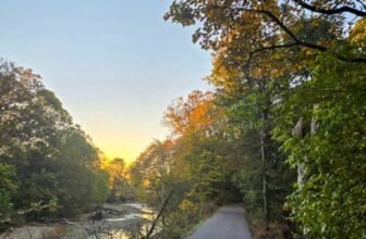 The Little Issues Publication #491 – Life, laughter, and plenty of nice meals!