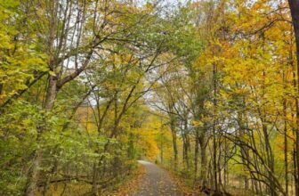 The Little Issues Publication #492 – Life, laughter, and plenty of nice meals!