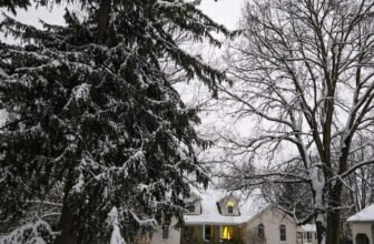 The Little Issues Publication #498 – Life, laughter, and many nice meals!