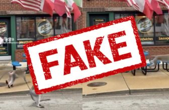 AI Photographs Create Confusion as Actual Gang of Monkeys Roams St. Louis