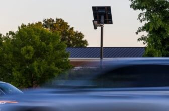 Flock Cameras Have a Individuals-Love-Smashing-Them Drawback