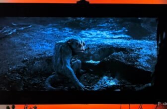 There are two kinds of LCD TV you don’t learn about