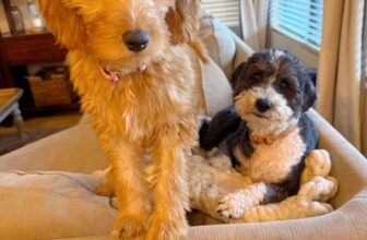 2.6 Friday Faves – The Fitnessista