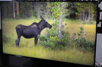 4 settings I take advantage of to repair washed-out colours on my TV